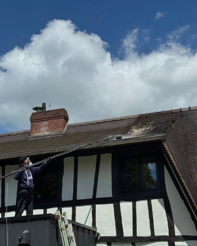 Chantier de démoussage RenoDrone