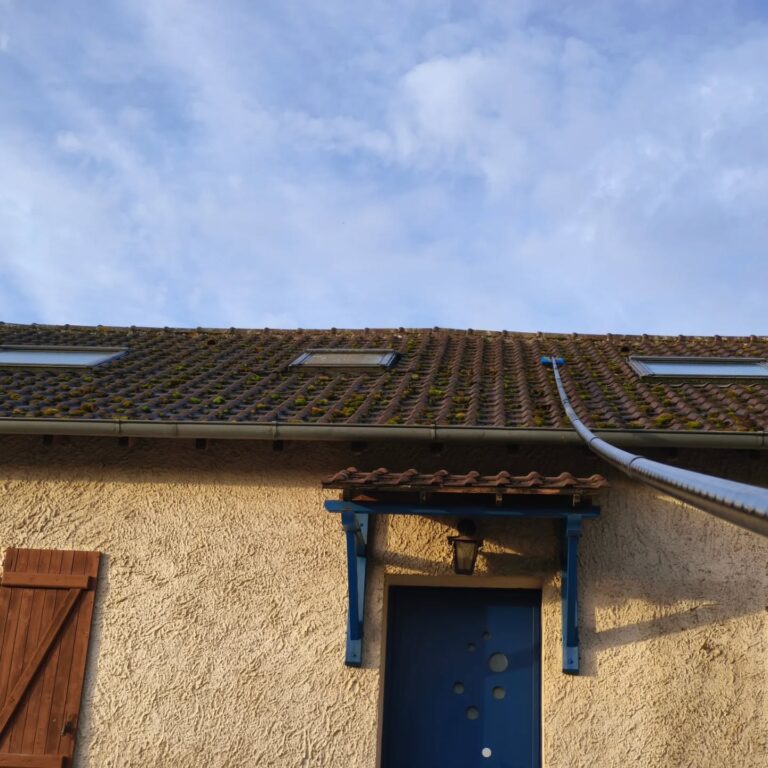 Toiture démoussée