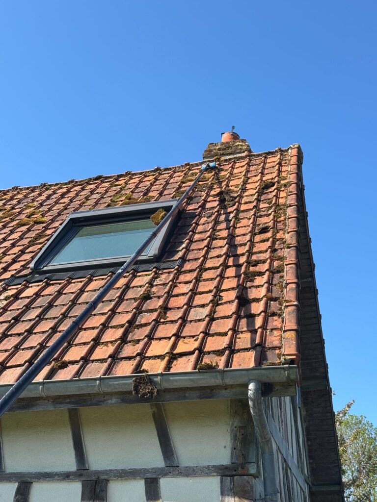 Démoussage de toiture par drone