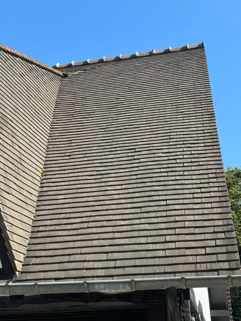 Toiture démoussée