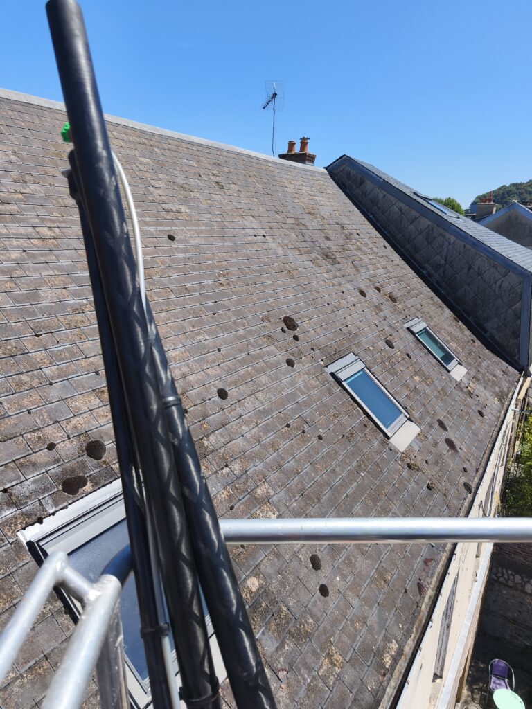 Démoussage de toiture par drone