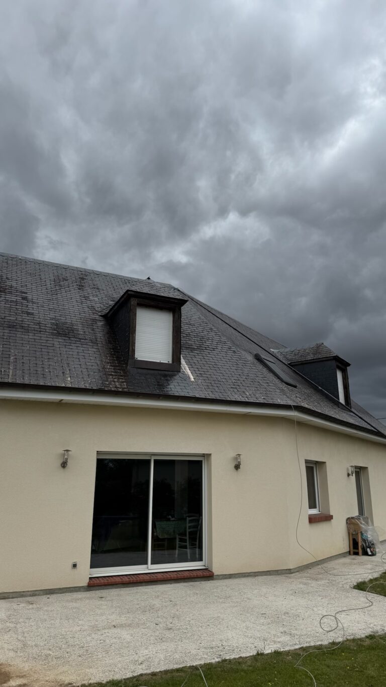 Chantier de démoussage RenoDrone