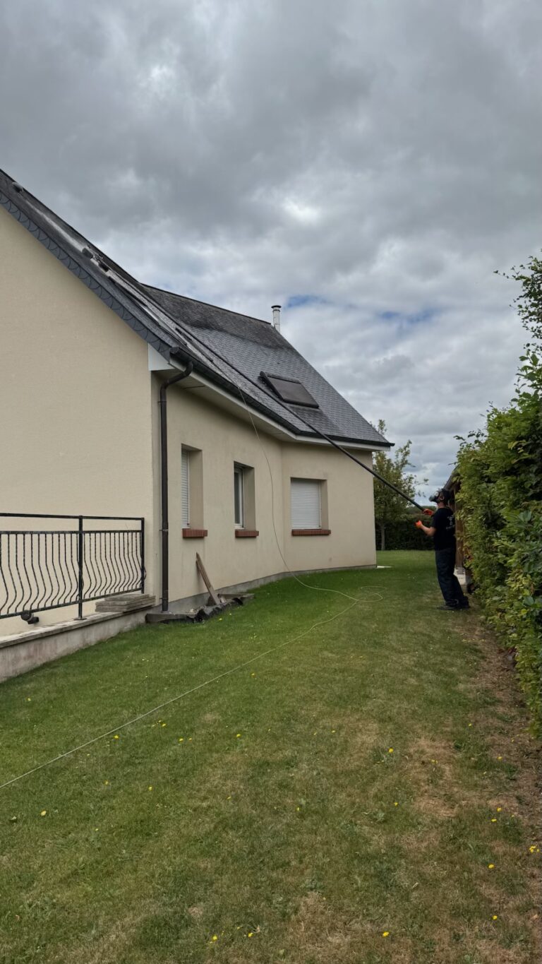 Chantier de démoussage RenoDrone