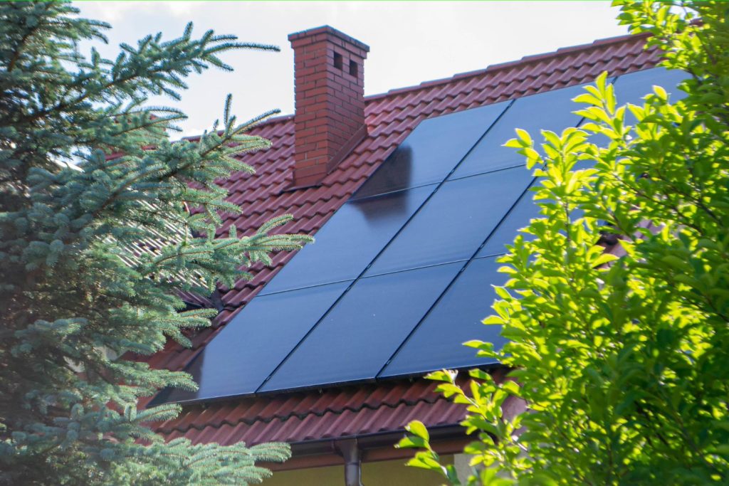 Panneaux photovoltaïques bordés de végétation, exposés au pollen et aux feuilles